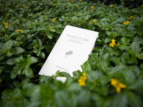 The Journal For Mums